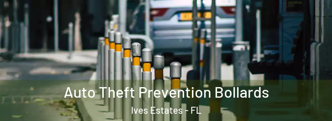  Auto Theft Prevention Bollards Ives Estates - FL
