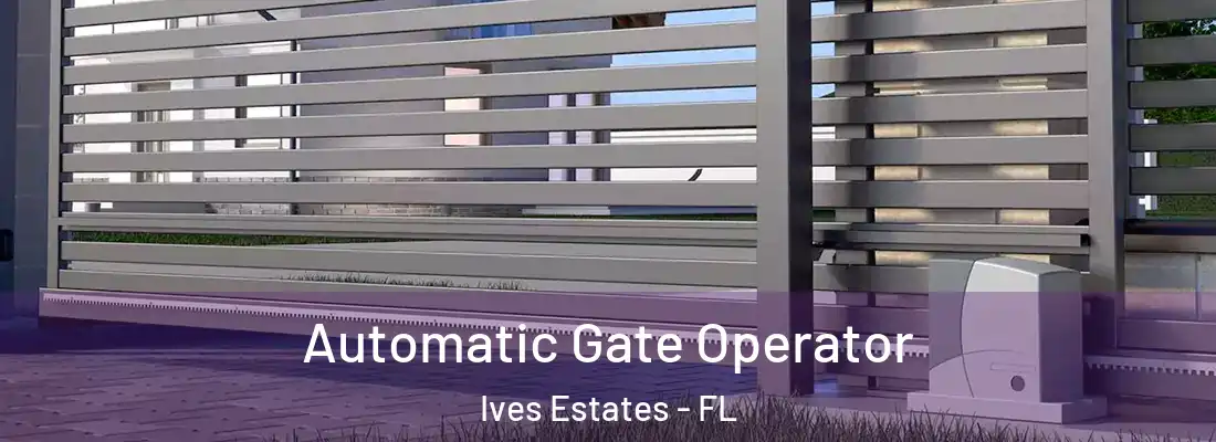  Automatic Gate Operator Ives Estates - FL