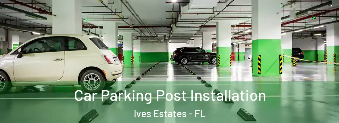 Car Parking Post Installation Ives Estates - FL