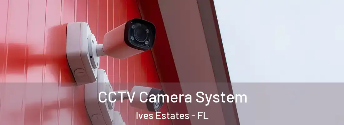  CCTV Camera System Ives Estates - FL