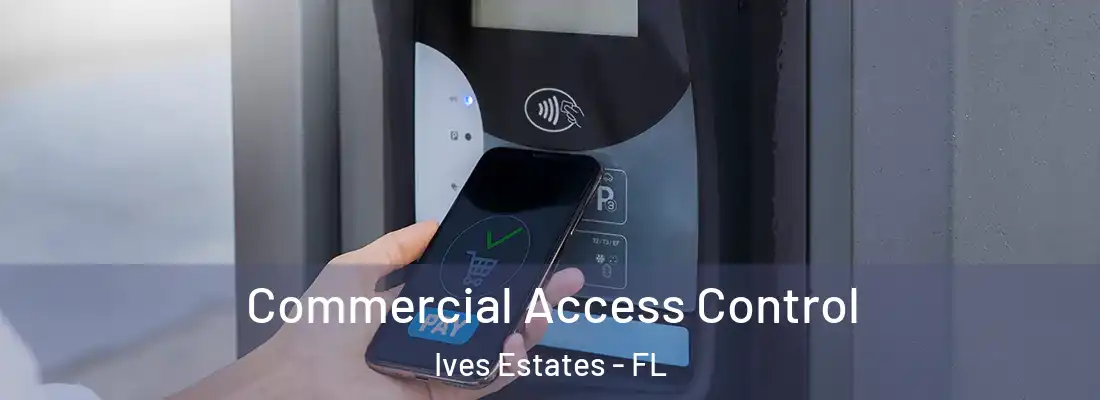  Commercial Access Control Ives Estates - FL