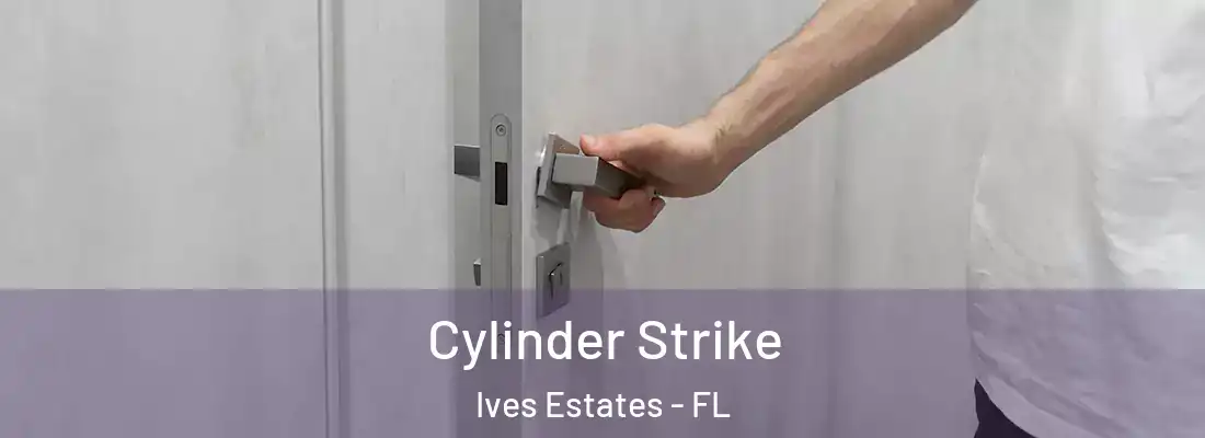  Cylinder Strike Ives Estates - FL