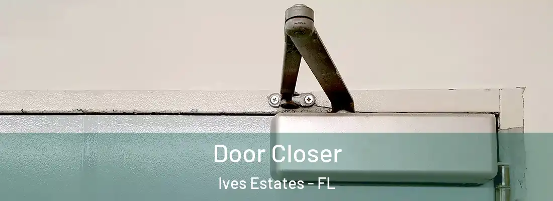 Door Closer Ives Estates - FL