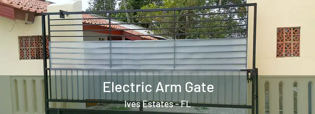  Electric Arm Gate Ives Estates - FL