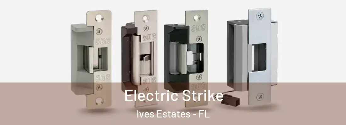  Electric Strike Ives Estates - FL