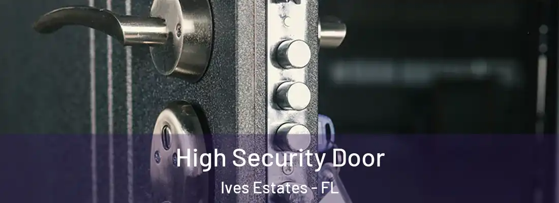  High Security Door Ives Estates - FL