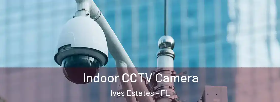  Indoor CCTV Camera Ives Estates - FL