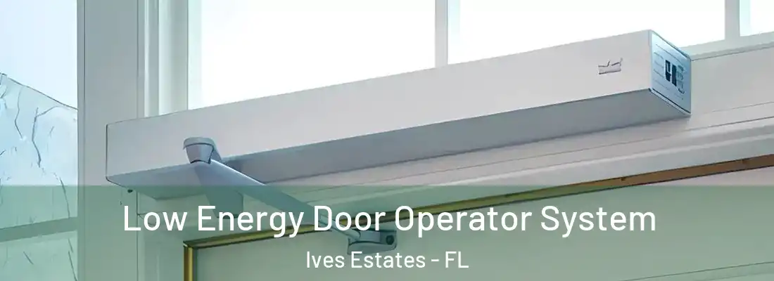  Low Energy Door Operator System Ives Estates - FL