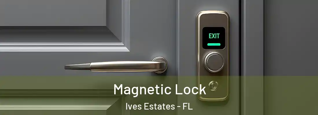  Magnetic Lock Ives Estates - FL