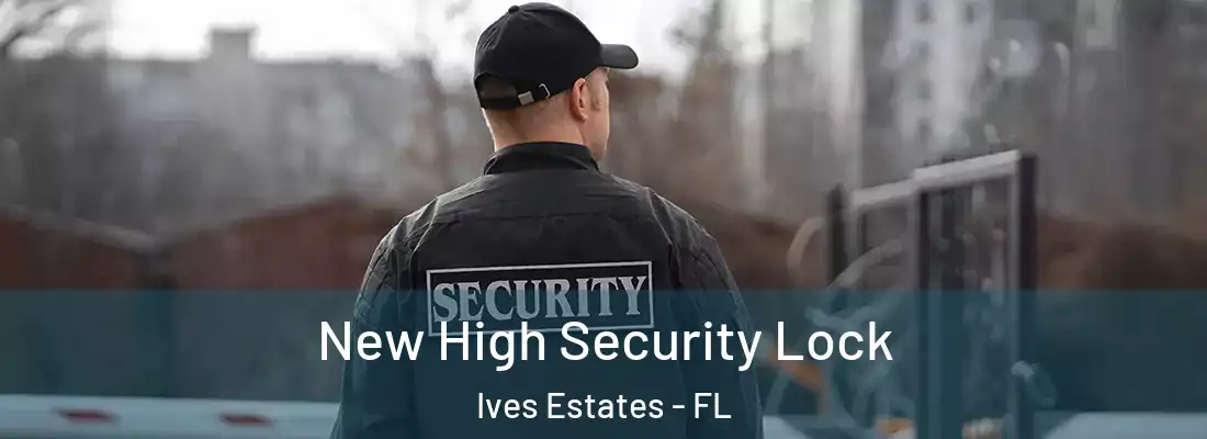  New High Security Lock Ives Estates - FL