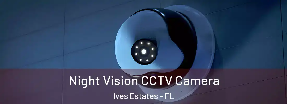  Night Vision CCTV Camera Ives Estates - FL