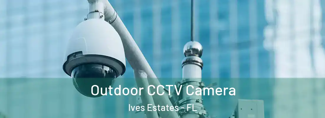  Outdoor CCTV Camera Ives Estates - FL